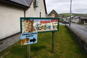 I found this photo here: http://www.flickr.com/photos/nicohogg/