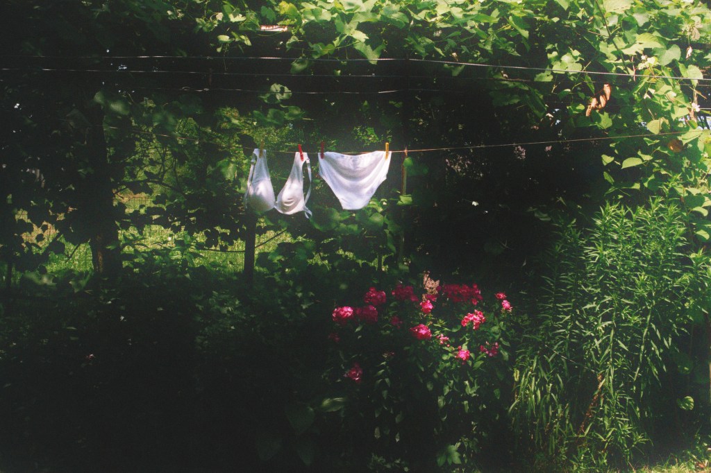 Bosnia. Lipnica. Clothesline. © trashbus, 2016