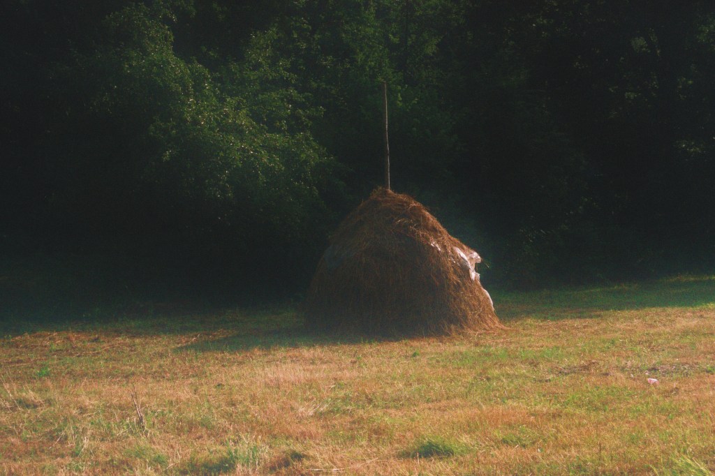 Bosnia. Lipnica. Haystack. © trashbus, 2016