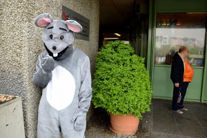 Trashbus - The Balkan Stories #5