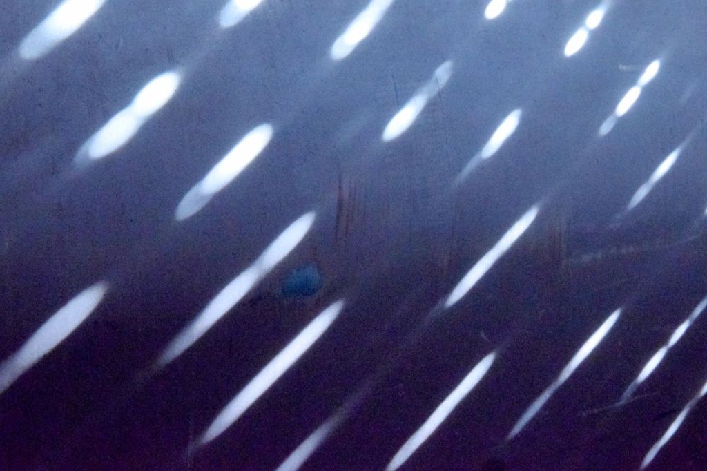 Storeroom. Comprehending Patterns of Home. Velika Gorica, Croatia. 2017. © Trashbus ǀ Renata Britvec