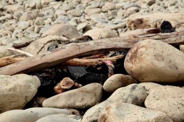 Fire Pit. The River Told Me About It. River Lech, Augsburg, Germany. 2018. © Trashbus ǀ Renata Britvec