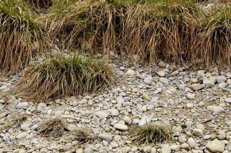 River Bank. The River Told Me About It. River Lech, Augsburg, Germany. 2018. © Trashbus ǀ Renata Britvec