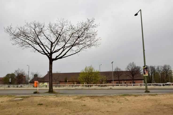 Sand. Berlin's Wild Northwest. Berlin, Germany. 2018 © Trashbus ǀ Renata Britvec