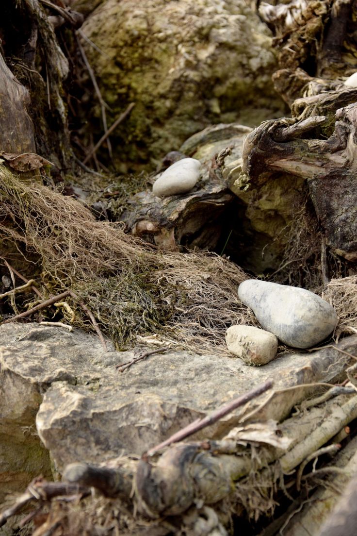 Stone Nest. The River Told Me About It. River Lech, Augsburg, Germany. 2018 © Trashbus ǀ Renata Britvec