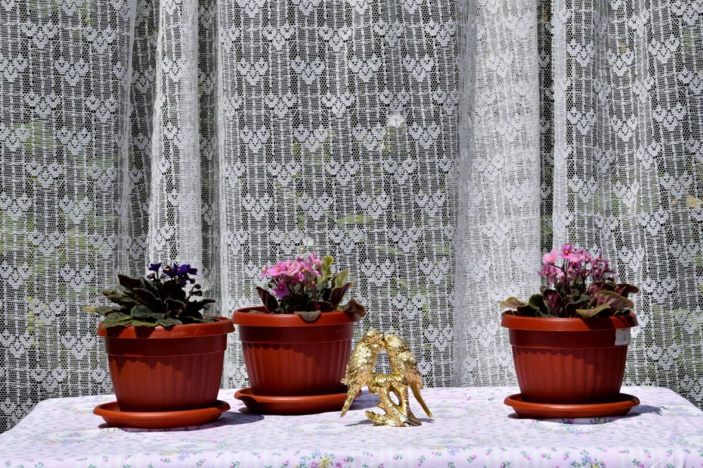 Purple Potted Plant, Pink Potted Plants, and Golden Birds. Her Spirit and Her Things. Lipnica – Tuzla, BiH. 2018 © Trashbus ǀ Renata Britvec