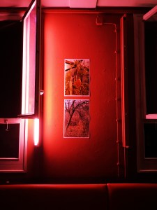 Trashbus ǀ Renata Britvec: "Short Hellos & Long Goodbyes". Opening Sept 27th, 2019 @ Sputnik Kino Berlin.