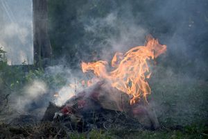 Fire I. Summer. Short Hellos & Long Goodbyes. LipnicaTuzla, BiH. 2017 © Trashbus ǀ Renata Britvec