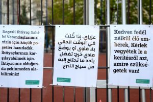 Dear Human III. Left Behind. Berlin, 2020. © Trashbus ǀ Renata Britvec