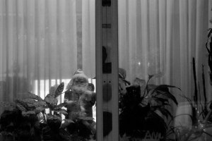 Window Santa. Ghost Night. Berlin, 2020. © Trashbus ǀ Renata Britvec